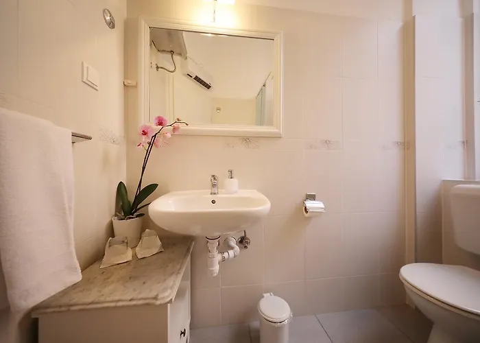 ゲストハウス Tisa Old Town 3*