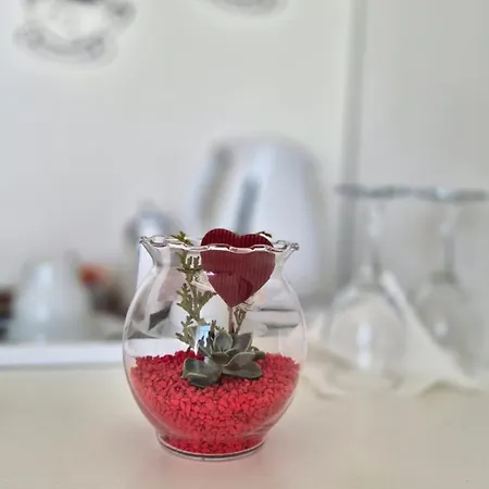 بيت ضيافة Tisa Old Town