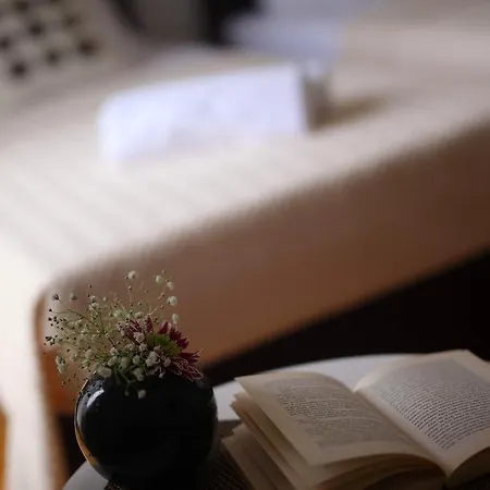 Tisa Old Town 3* زادار